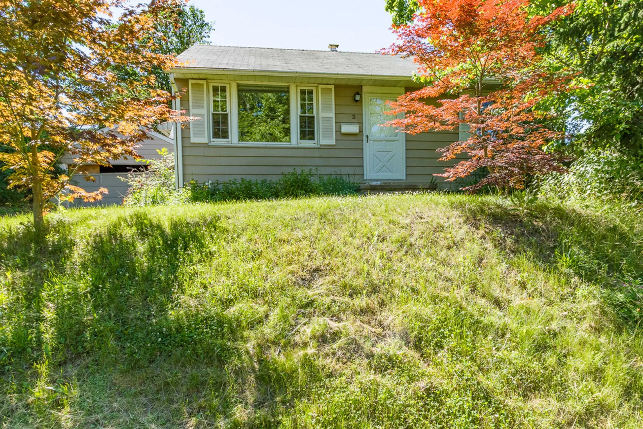 Before: the original ranch on its overgrown hill