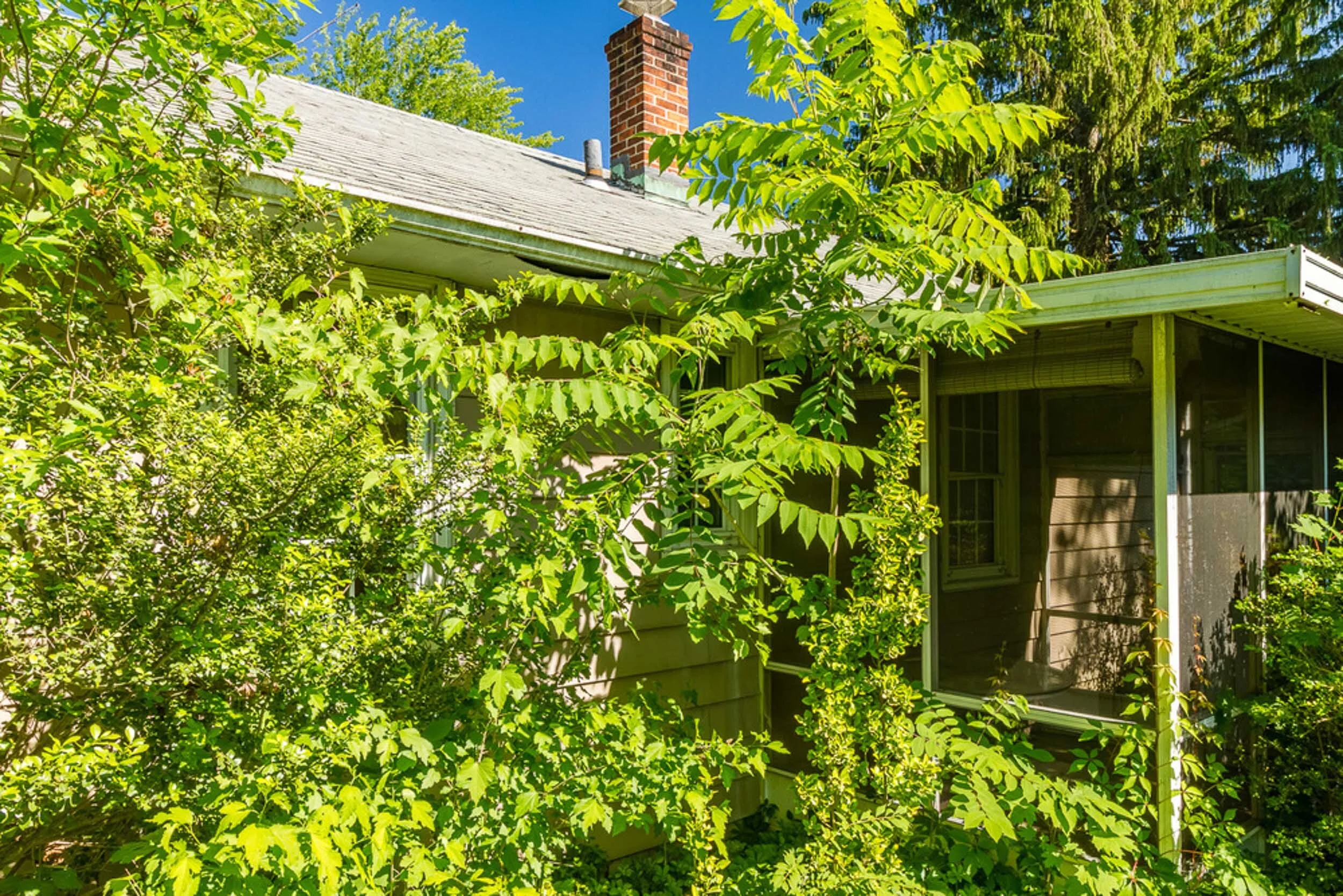 Before: overgrown side yard and screened porch